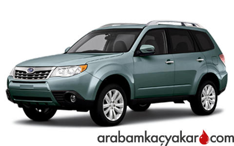 Forester 3
