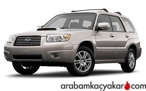 Forester 2